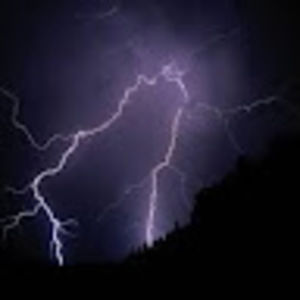 Meet your Posher, Peyton